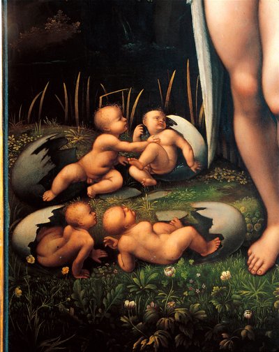 Leda e il cigno (dettaglio) da Francesco Melzi or Melzo