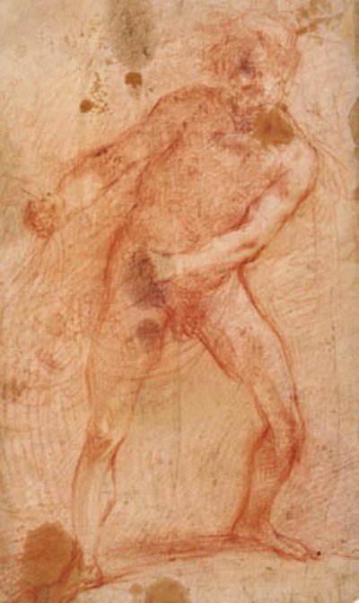 Nudo maschile che tira una rete (?) da Francesco Montelatici