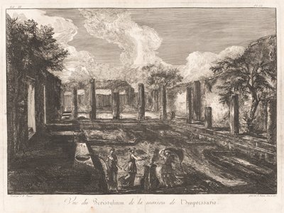 Veduta del Peristilio della casa dell