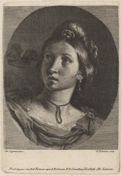 Testa di una giovane donna da Francesco Polanzani after Carlo Cignani