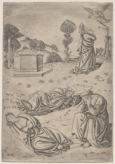 Agonia nel giardino da Francesco Rosselli