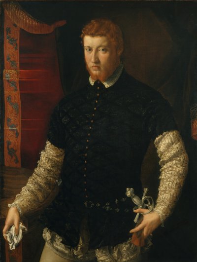 Ritratto di un uomo da Francesco Salviati