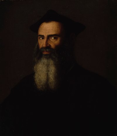 Ritratto di prelato (metà del XVI secolo) da Francesco Salviati