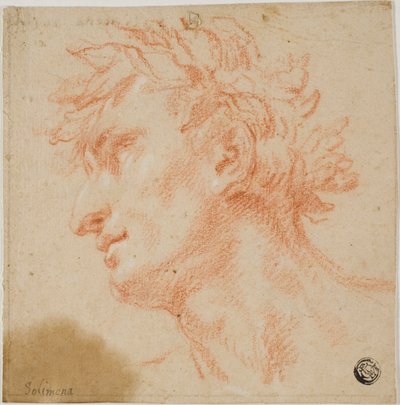 Profilo di testa maschile, coronata di foglie di alloro da Francesco Solimena