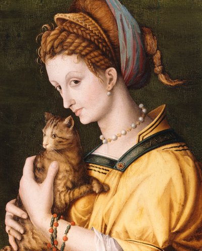 Signora con un gatto, c.1525-30 da Francesco Ubertini Bacchiacca