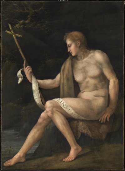 San Giovanni Battista nel Deserto da Francesco Ubertini Bacchiacca
