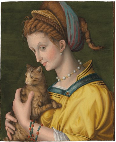 Ritratto di una giovane donna con un gatto da Francesco Ubertini Verdi Bachiacca