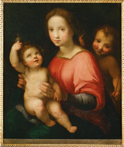 Santa Maria con il bambino e il giovane Giovanni Battista ... (dipinto su tavola) da Francesco Vanni