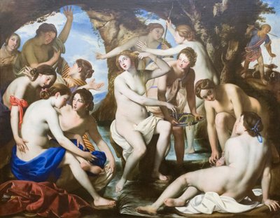 Il bagno di Diana da Francesco de (c.1600 54) Rosa