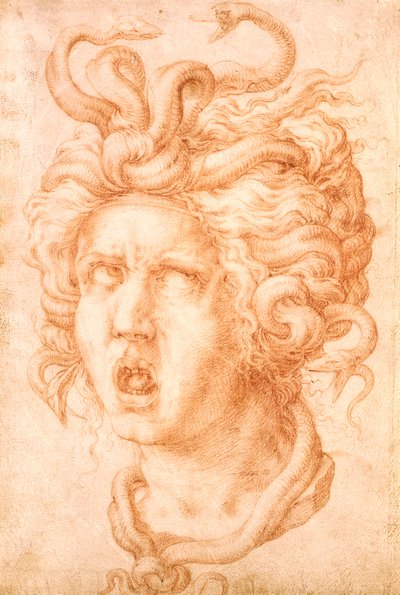 Medusa da Francesco de Rossi Salviati Cecchino