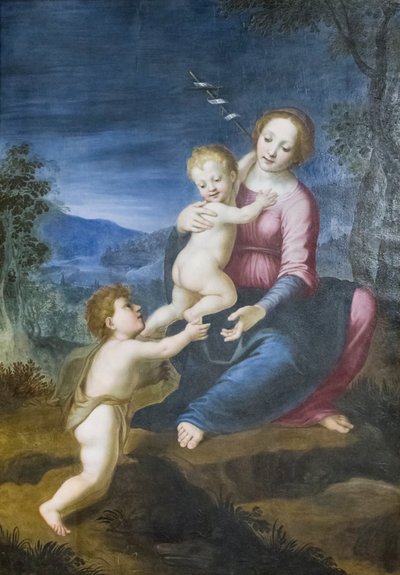 La Vergine con Gesù e Giovanni Battista da Francesco di Cristofano Franciabigio