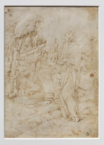 Giovane uomo in un paesaggio roccioso, c.1475-80 da Francesco di Giorgio Martini