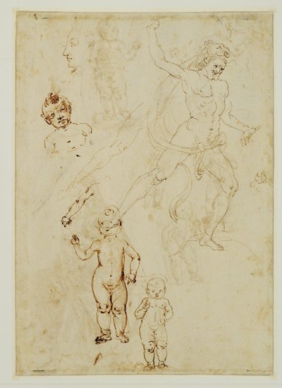 Ercole; tre bambini; testa maschile rivolta a sinistra ... da Francesco di Simone (attr. to)