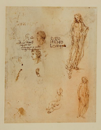 Tre profili; orecchie; due Apollo ... da Francesco di Simone (attr. to)