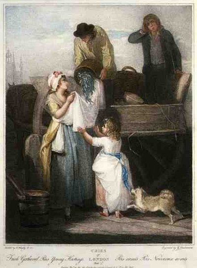 "Piselli Freschi Raccolti Giovane Hastings", tavola 7 di 