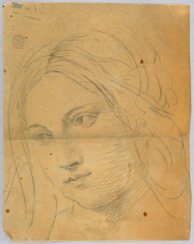 Schizzo della testa di una donna da Francis Augustus Lathrop