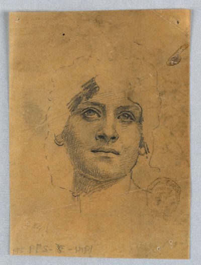 Schizzo del volto di una donna da Francis Augustus Lathrop