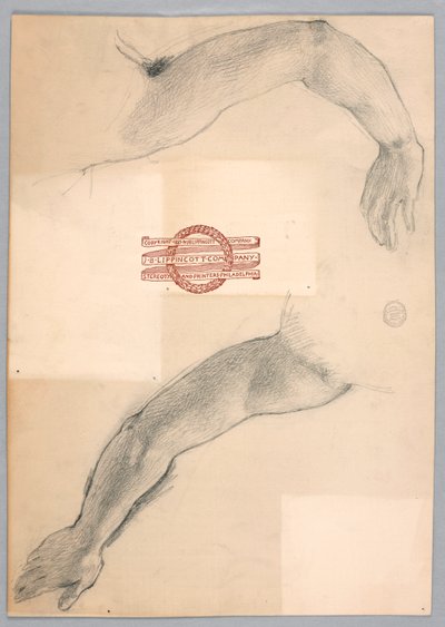 Studi di braccia da Francis Augustus Lathrop