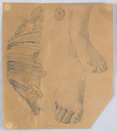 Studi di Piedi e una Conchiglia Scanalata da Francis Augustus Lathrop
