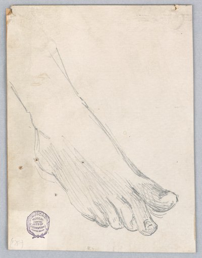 Studio del piede destro da Francis Augustus Lathrop