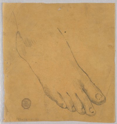 Studio di un piede destro da Francis Augustus Lathrop