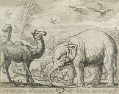 Africa da Francis Barlow