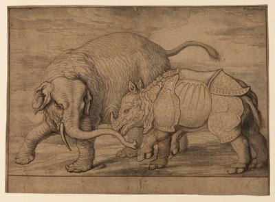 Lotta tra un elefante e un rinoceronte da Francis Barlow