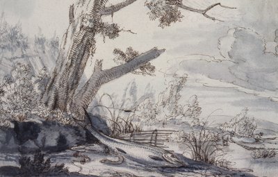 Pesci su una riva da Francis Barlow
