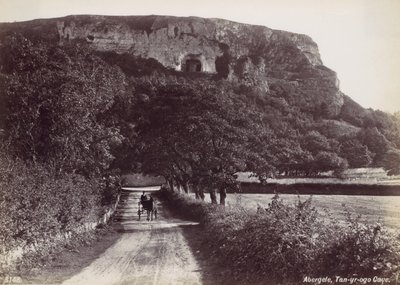 Abergele, Grotta di Tan-yr-ogo da Francis Bedford