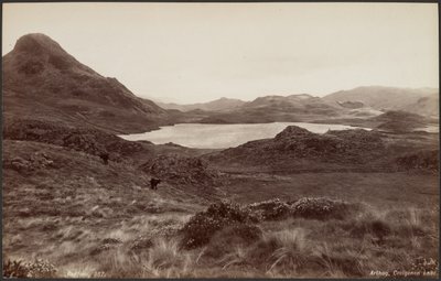 Arthog, Lago Creigene da Francis Bedford