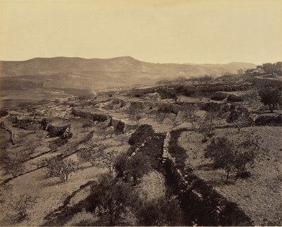 Betlemme - Il campo dei pastori da Francis Bedford