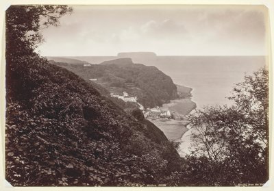 Clovelly dall
