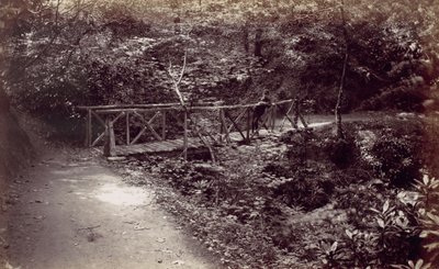Colwyn Bay. Ponte rustico nel bosco, 1870s da Francis Bedford