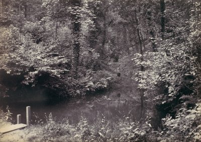 Colwyn Bay. La piscina nel bosco da Francis Bedford