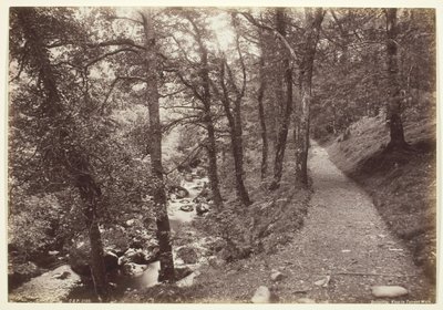 Dolgelley, veduta in Torrent Walk da Francis Bedford