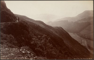 Dolgelley, la Passeggiata del Precipizio da Francis Bedford