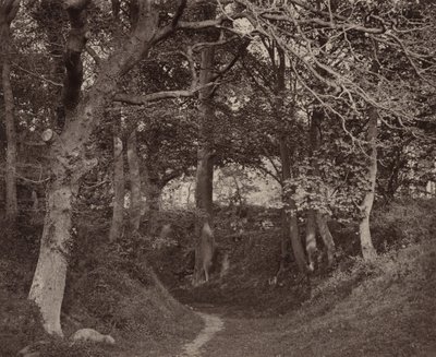 Glen Kenilworth, c. 1868 (foto) da Francis Bedford