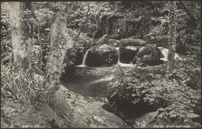 Glen Lyn, ruscello e fogliame da Francis Bedford
