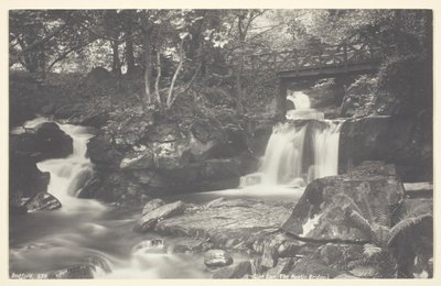 Glen Lyn, il Ponte Rustico, 1860-94 da Francis Bedford