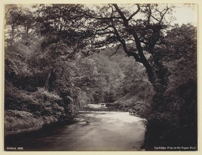 Ivy Bridge, vista sul fiume Prysor da Francis Bedford