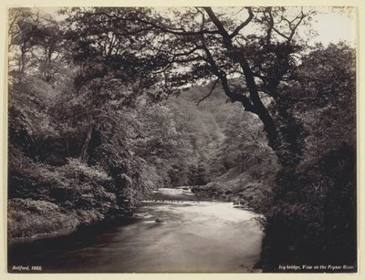Ponte Ivy, Vista sul fiume Prysor, 1860-94 da Francis Bedford