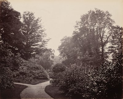 Sentiero di Alexandra Park, 1863 ca. 1863 (foto) da Francis Bedford
