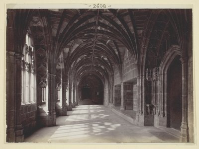 Senza titolo da Francis Bedford