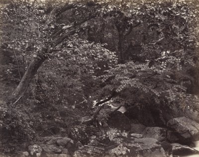 Glen a Lynmouth da Francis Bedford, Francis Frith