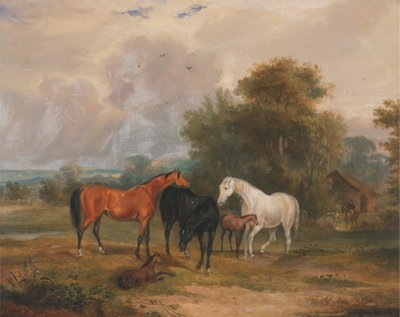 Cavalli al Pascolo: Giumente e Puledri in un Campo da Francis Calcraft Turner