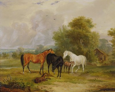 Cavalli al Pascolo: Giumente e Puledri in un Campo da Francis Calcraft Turner