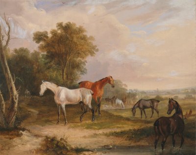 Cavalli al pascolo: uno stallone grigio al pascolo con le giumente in un prato da Francis Calcraft Turner