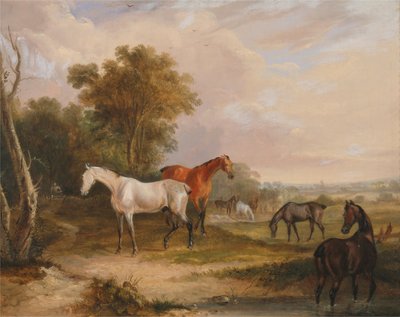 Cavalli al pascolo: uno stallone grigio al pascolo con le giumente in un prato da Francis Calcraft Turner
