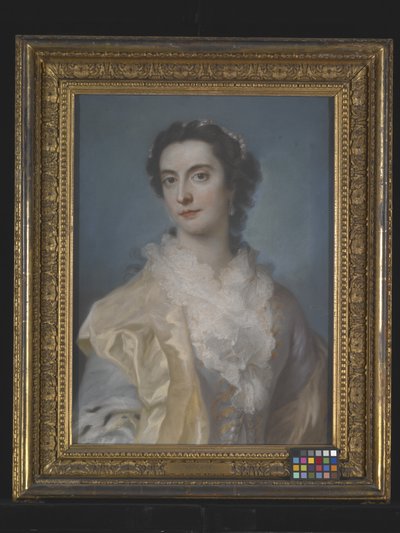 Ritratto di una signora da Francis Cotes