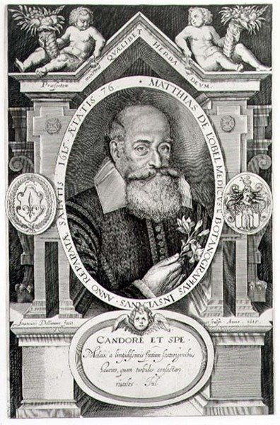 Ritratto di Matthias de Lobel (1538-1622) inciso dall